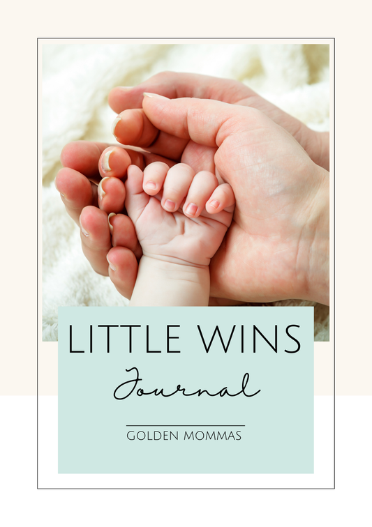 Little Wins Journal